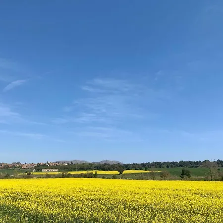 乡村民宿 Rurales En 科洛梅斯